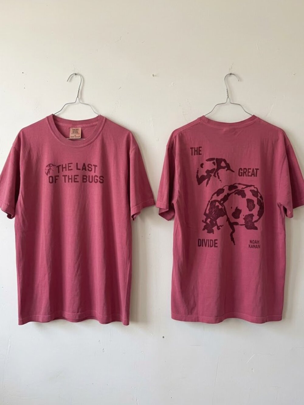 Noah Kahan The Last Of The Bugs Shirt